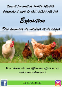 affiche basse cour 23